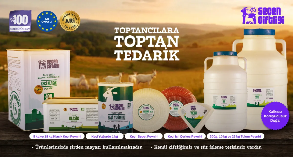 Seçen Çiftliği’nin Mudanya orman çiftliğinde beyaz Saanen keçisi