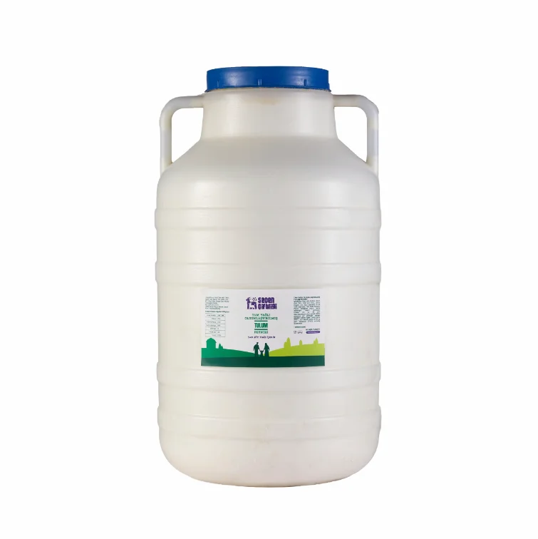 Tam Yağlı Olgunlaştırılmış Tulum Peyniri — 10 kg